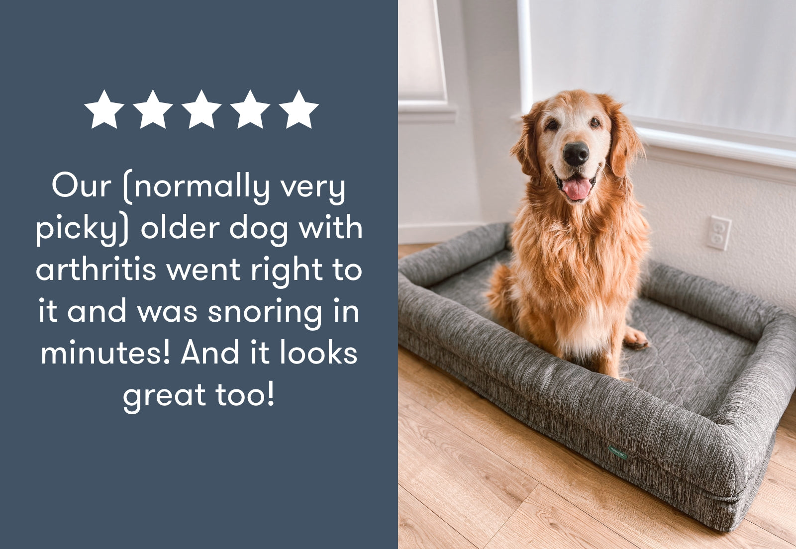 Washable & Orthopedic Pet Bed